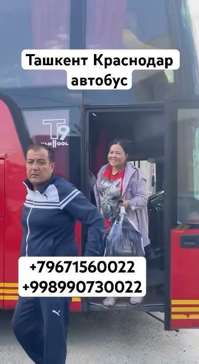 Ташкент Краснодар автобус, Ташкент Ростов-на-Дону автобус, Ташкент ...