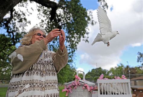 ‘White Doves of Love’ fly across Woodland sky – Daily Democrat