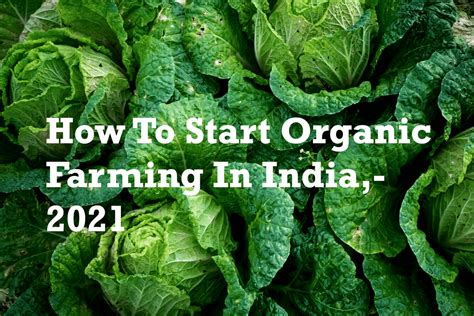 How To Start Organic Farming in India | Farm Consulting | KisaanMitrr