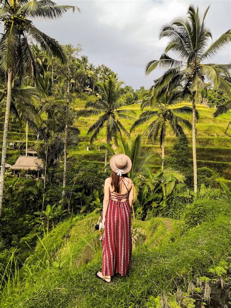 【与妈妈的旅行】巴厘岛 第三天 Ubud Bebek Bengil，tegalalang Rice Terrace 寒蝉；涵谈