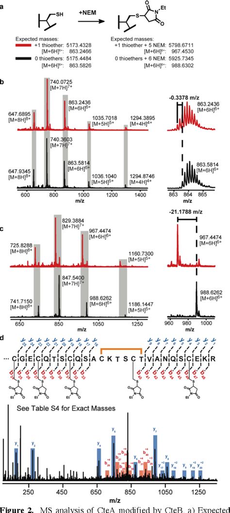 Figure From Structural Insights Into Thioether Bond Formation In The