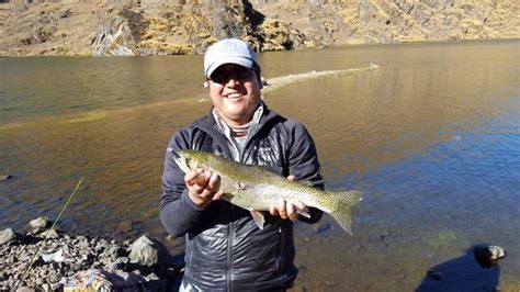 Fly Fishing Sport Fishing Cusco Picture Of Private Tours Peru