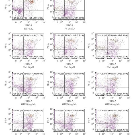 Mitochondrial Membrane Disruption In Sh Sy Y Cells After Being Exposed