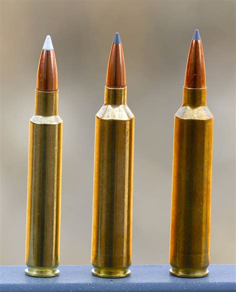 28 Nosler Recoil Vs 300 Win Mag : Discover the Ultimate Power ...