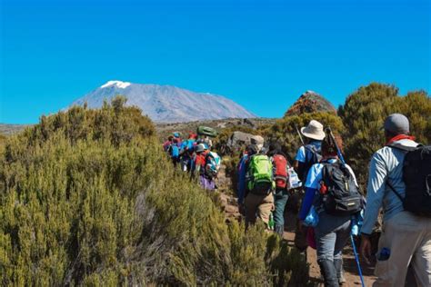 Mount Kilimanjaro National Park The Chosen Journey Safari