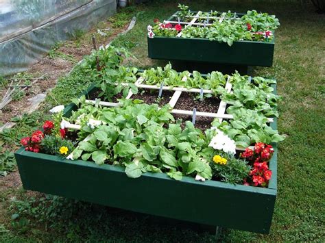 What Is Square Foot Gardening