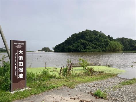 宮城オルレ 奥松島コース やまさんの宮城オルレ 奥松島コースの活動データ Yamap ヤマップ