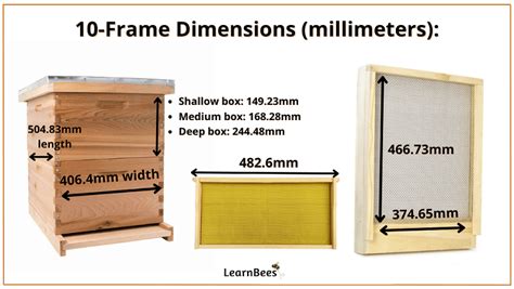 Langstroth Hive Dimensions The Easy Guide Learnbees