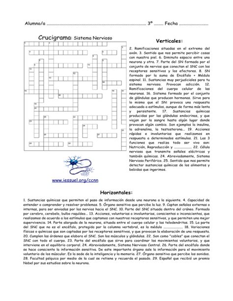 Crucigrama Sistema Nervioso Y Aparato Locomotor Por Sergio Y Alfonso