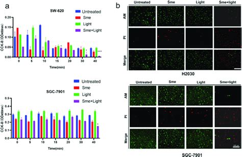 A Cell Viability Was Analyzed By Cck Assay In Sw Cells And