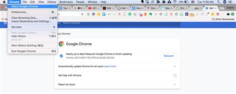 Google Chrome Update 1 – Dotto Tech