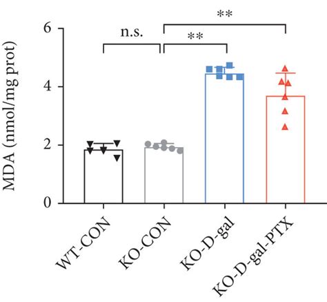 Effects Of Ptx Administration On Oxidative Balance Status In The Download Scientific Diagram