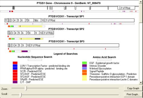 graphical representation  representation   ptgs gene approx