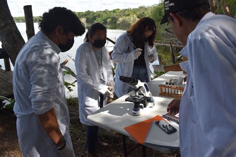 ESTUDIANTES DEL TECNM CARRILLO PUERTO REALIZAN ESTUDIO SOBRE LOS