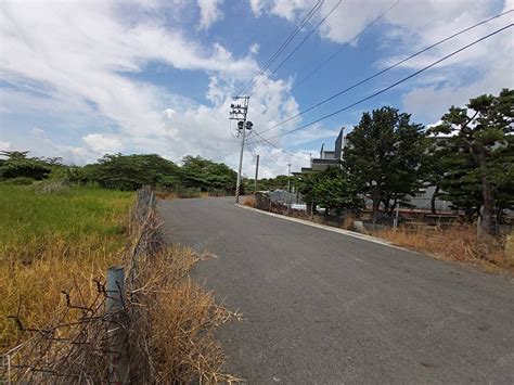 高雄市鳥松區大德段農地出售鳥松神農路捷運黃線y2站方正美農地 591土地