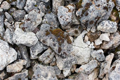 Gray Stones Covered With Moss Stock Photo Image Of Background Grey