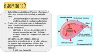 MANEJO QUIRURGICO DE LA COLECISTITIS AGUDA PPT