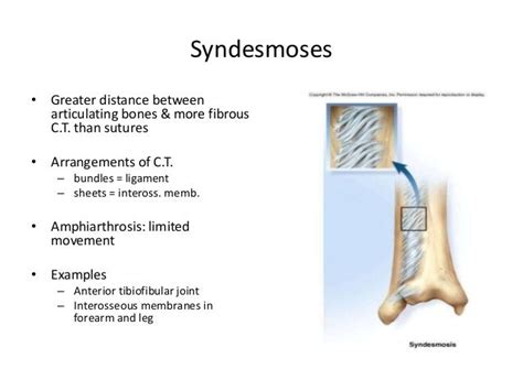 Arthrology