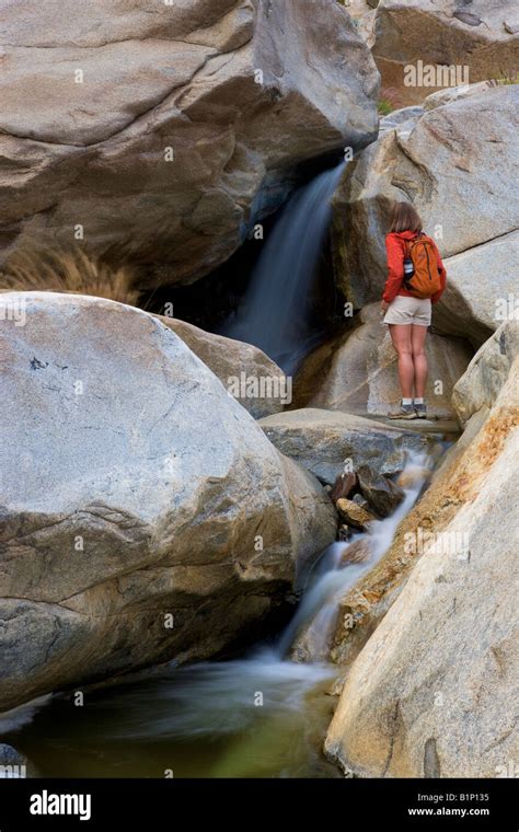 A Hiker Enjoys A Waterfall At The First Palm Oasis Borrego Palm Canyon