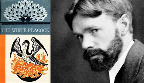 5 of D.H. Lawrence’s Most Notable Novels | TheCollector
