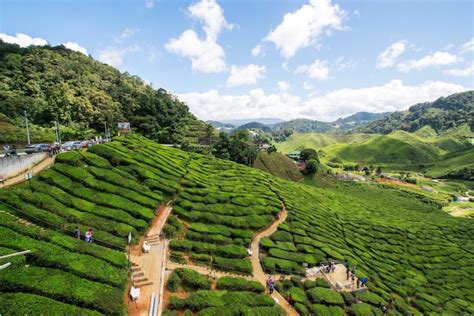 Cameron Highlands Furnished Monthly Rentals And Extended Stays Airbnb