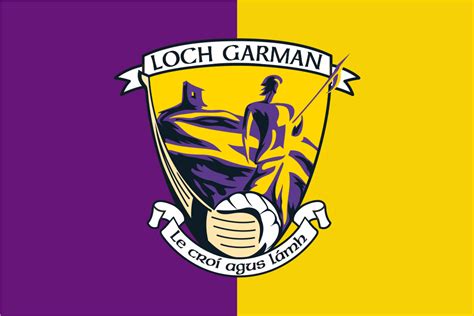 Wexford Gaa Crest Handwaver Flag Flags Ireland Prospect Design