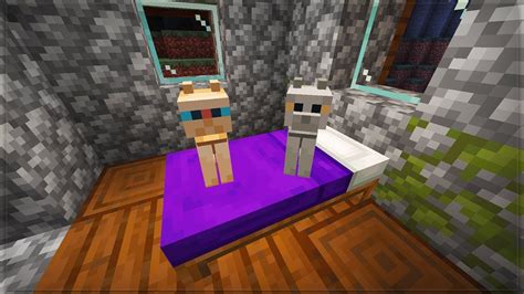 Minecraft Bekommt Neue Streunende Katzen Update Youtube