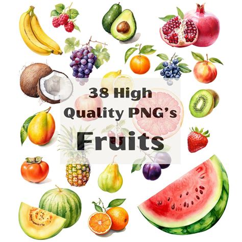 Realistic Watercolor Fruits Clipart Fruit Variety Png Illustration Fruit Png Elements Fruits