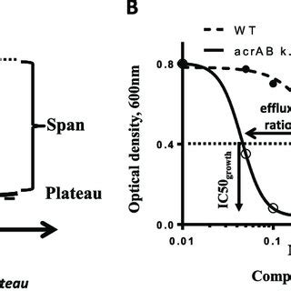 Schematic Depicting Parameters For Efflux Time Course And Bacterial