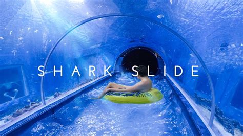 Awesome Shark Slide At Aquapark Reda Poland Pov Youtube