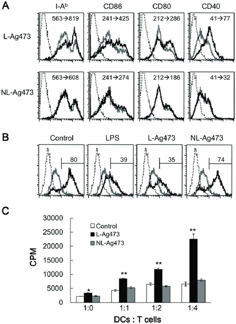 L Ag473 Promotes Bmdc Maturation And Dc Induced T Cell Activation A