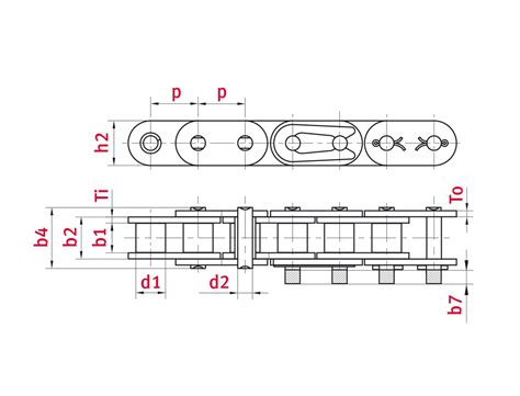 Roller Chain B Straight Side Plates Stainless Steel Elite