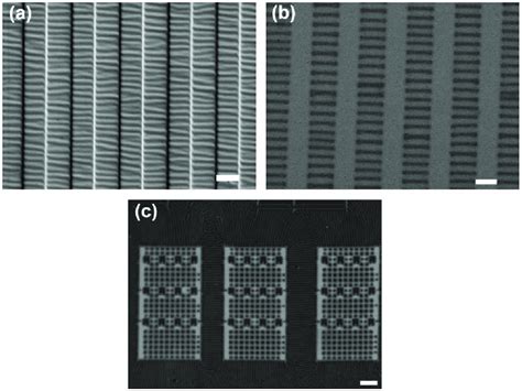 SEM Images Of The Wrinkled PDMS Stamps And The Polymer Patterns Via