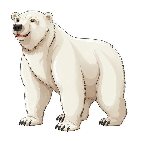 Ilustración De Dibujos Animados De Oso Polar Png Dibujos Llevar Oso