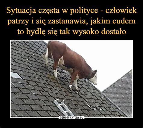 Czy Janusz Kowalski Ma Politycznie Zar N Micha A Ko Odziejczaka