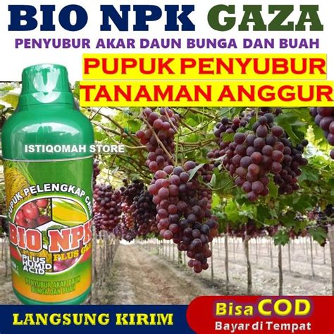 Pupuk Anggur Agar Cepat Berbuah Lebat Bio Npk Gaza Ml Pupuk Npk Cair