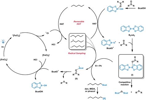 Terminal C Sp3 H Borylation Through Intermolecular Radical Sampling