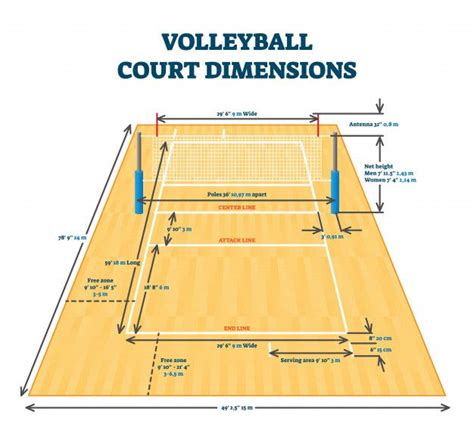 Volleyball Court With Measurements And Labels