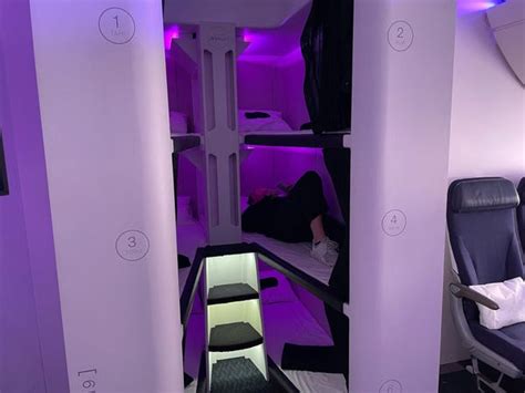 Photos Air New Zealands Future Cabin With Economy Bunk Beds