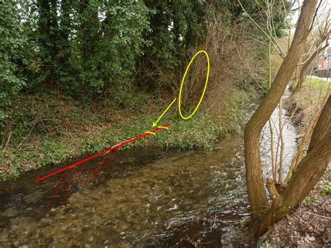 Waving a Magic Wand(le) | Wild Trout Trust