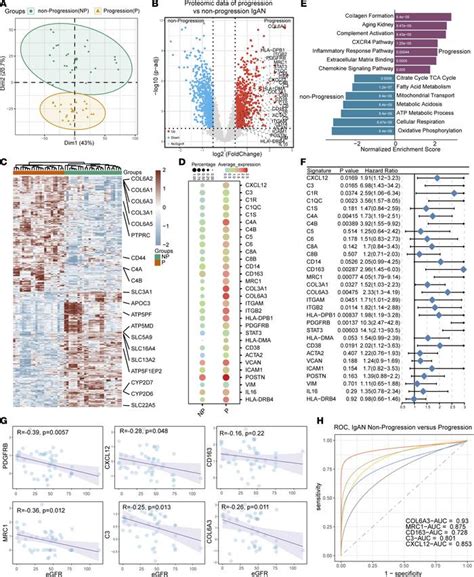 Jci Insight Cross Species Single Cell Analysis Uncovers The