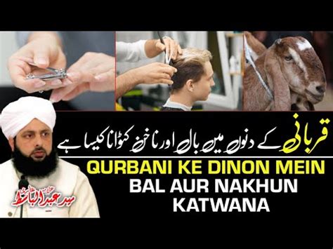 Qurbani Ke Dino Mein Bal Aur Nakhun Katwana Kaisa Hai Allama Syed