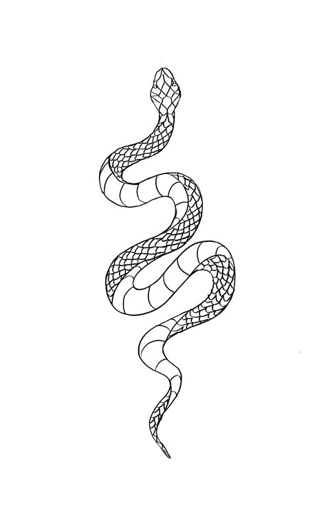 Snake Drawing Tattoo ~ Traditional Snake Tattoo Designs Tattoos Drawing ...