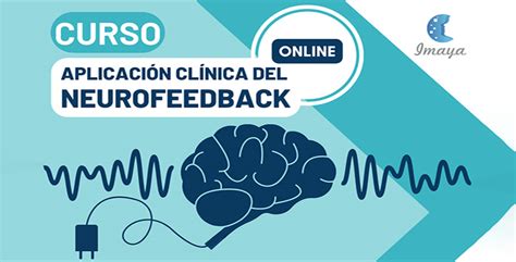 Curso B Sico Aplicaci N Cl Nica Del Neurofeedback Sebine