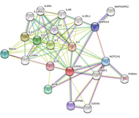 Gata3 Protein Atlas at Janice Bowen blog 