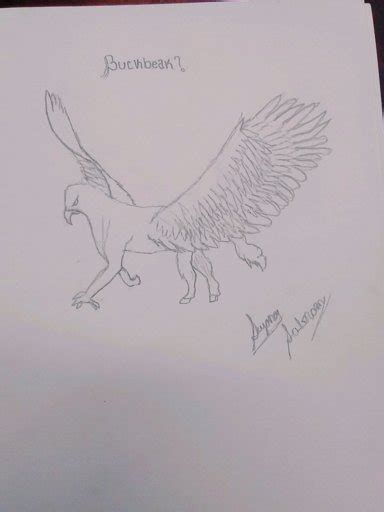 Buckbeak Drawing!! | Harry Potter Amino