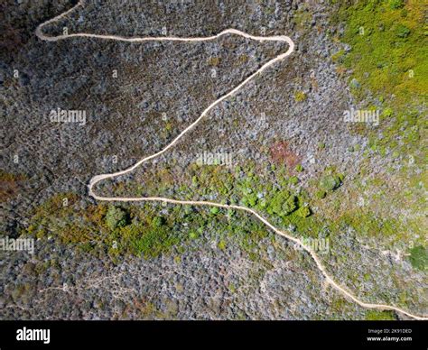 An Aerial View Of Dirt Trails Surrounded By Green Shrubs In The Morro