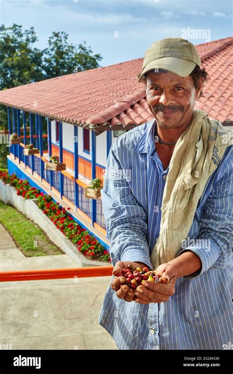 Hacienda San Alberto Cafetal Coffee Plantations Coffee Cultural