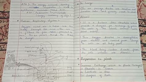 Life Process Class 10 Chapter 6 Notes Ncert Book Biology Youtube