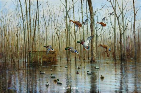 Waterfowl Paintings By Jim Killen A Waterfowl And Hunting Dog Artist